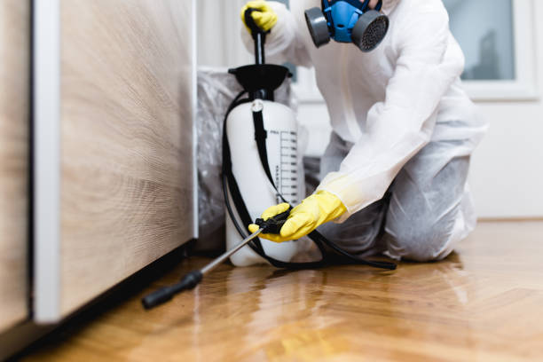 Best Termite Control Services  in Suncoast Estates, FL