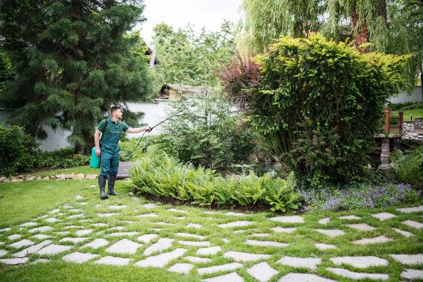 Best Pest Removal Services  in Suncoast Estates, FL