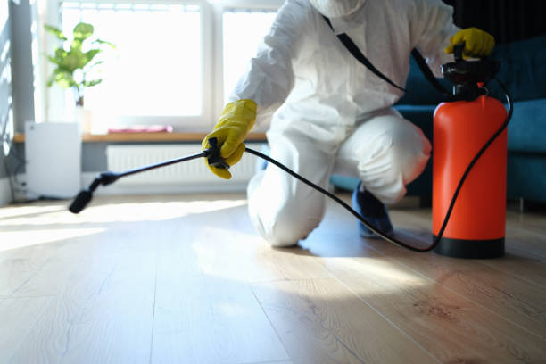 Best Local Pest Control Services  in Suncoast Estates, FL