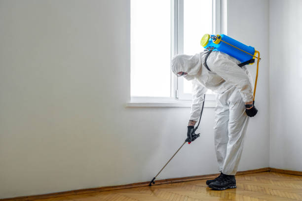 Best Mosquito Control Services  in Suncoast Estates, FL