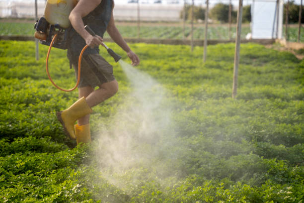 Best Exterminator Services  in Suncoast Estates, FL