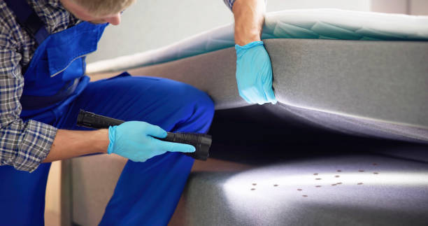 Best Local Pest Control Services  in Suncoast Estates, FL