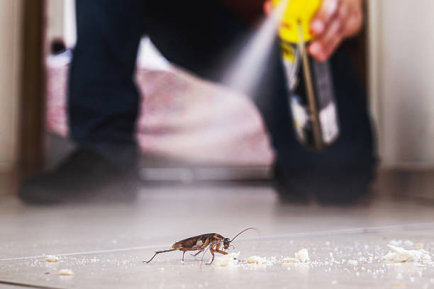 Best Cockroach Control Services  in Suncoast Estates, FL